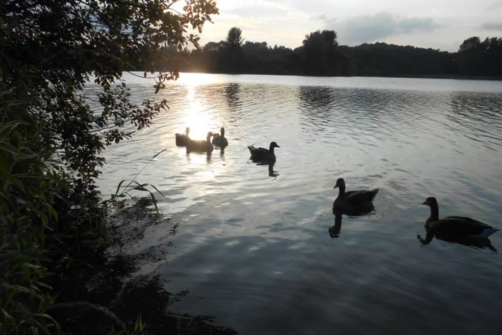 The Lake House: A Delightful And Peaceful Retreat. Derrymacash Exterior foto