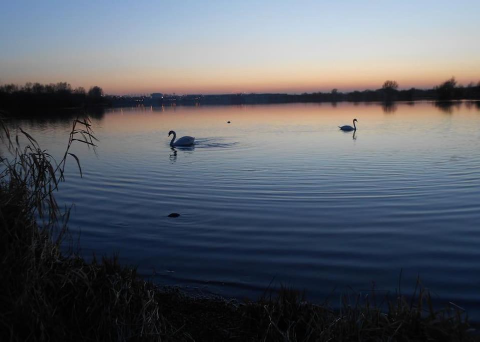 The Lake House: A Delightful And Peaceful Retreat. Derrymacash Exterior foto